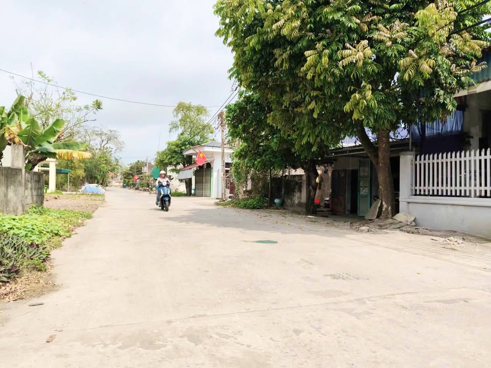 Bán Đất Lô Góc Nam Hải, Tiền Hải 102m² - Trục Chính, Kinh Doanh Sầm Uất