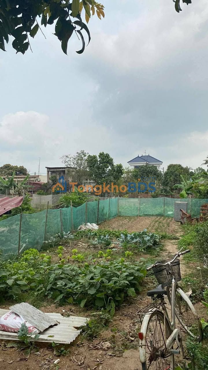 Đất nền Bình Nguyên Kiến Xương 150m² - Mặt tiền kinh doanh 1.4 tỷ