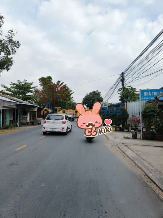 Đất Mặt Tiền Lộ 934 Hồng Ngự - Kinh Doanh Sầm Uất 270m²