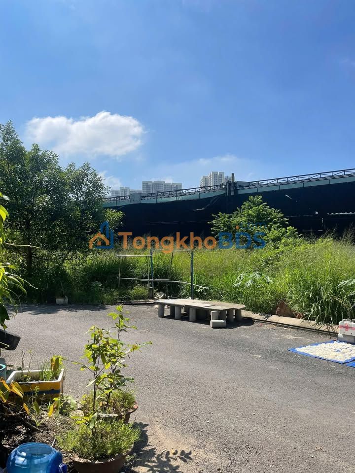 Đất Nền Quận 9 77m² - Sổ Hồng Riêng, Sẵn Sàng Xây Dựng