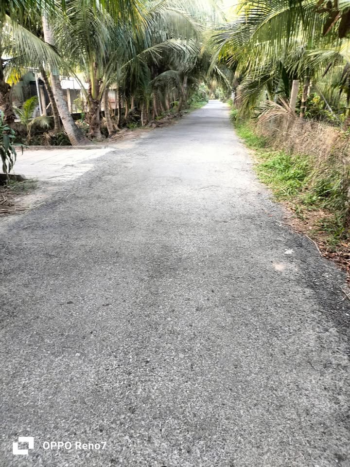 Bán Đất Trà Vinh 20.000m² Mặt Tiền Ô Ét - Giá Tốt