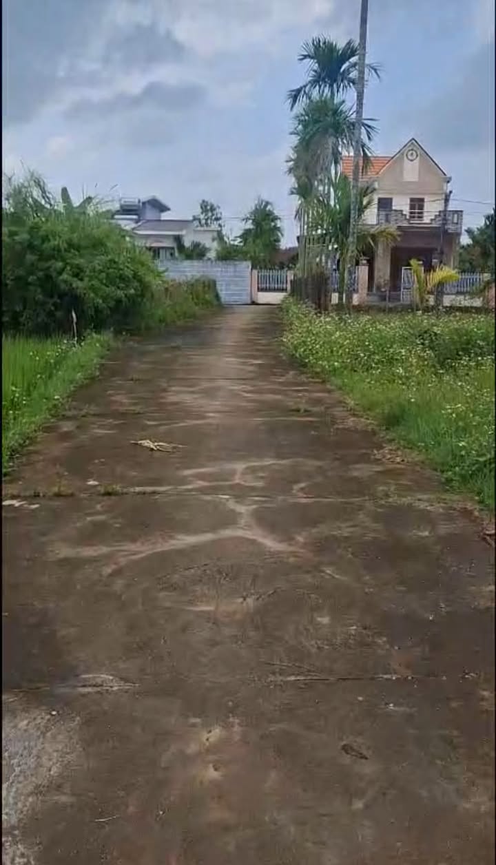 Đất Tịnh Khê 260m² - Sổ Đỏ Riêng, 3 Phút Ra Biển Mỹ Khê