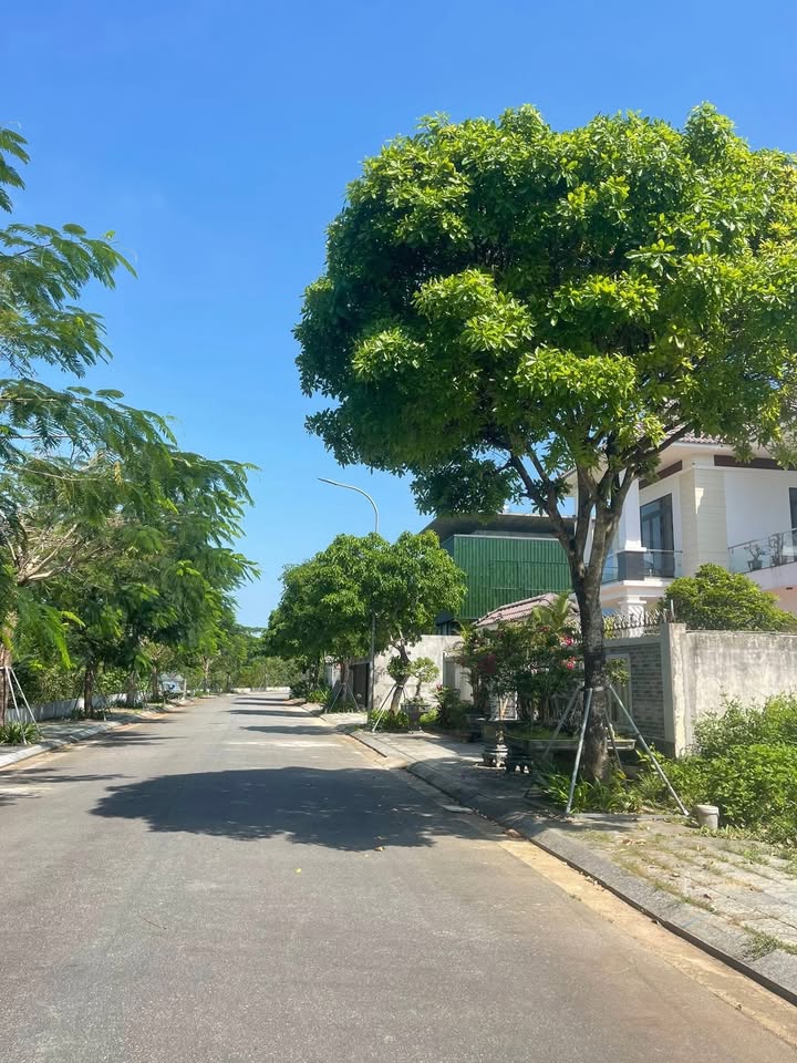 Đất Biệt Thự KDC 577 Mộ Đức 450m² - Sổ Đỏ Sẵn Sàng