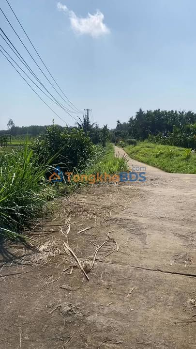 Đất Vườn Nghĩa Thắng, Quảng Ngãi - 3600m² Giá 1 Tỷ, Đường Ô Tô