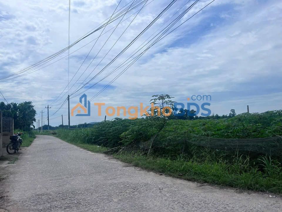 Bán Đất Nền 550m² Xã Tịnh Hà, Sơn Tịnh, Quảng Ngãi - Sổ Đỏ Chính Chủ