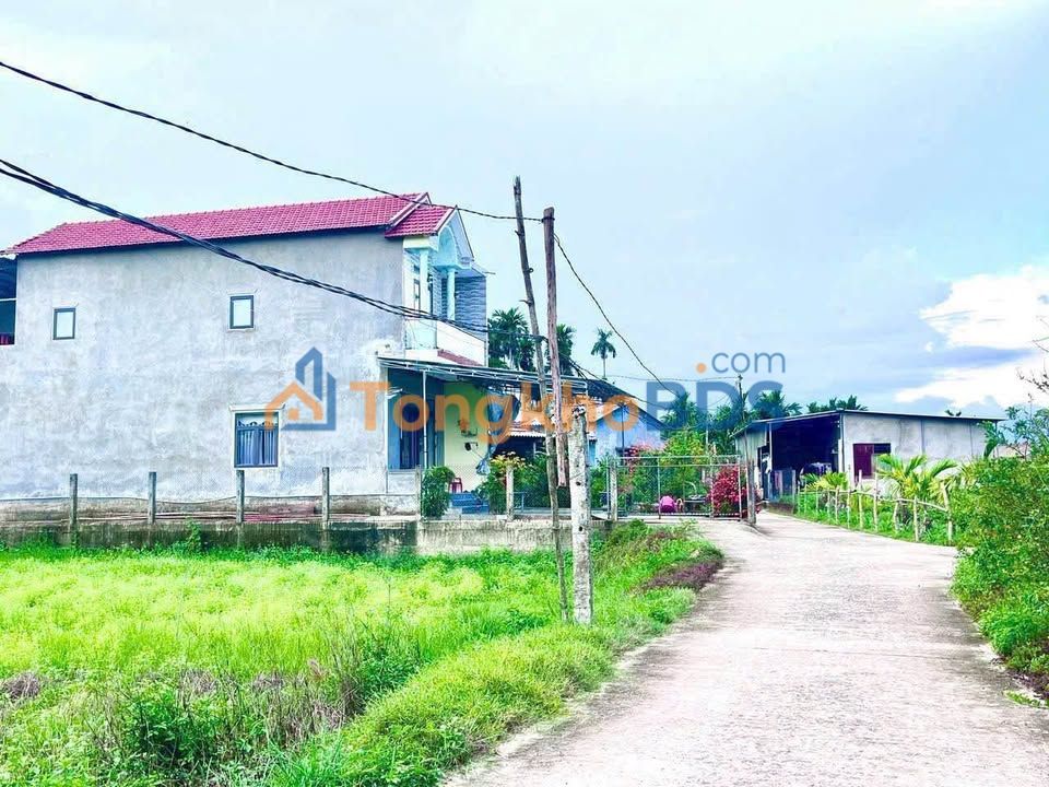 Đất Nền Nghĩa Điền 175m² - Giá Tốt Gần Khu Nam Trường Chinh