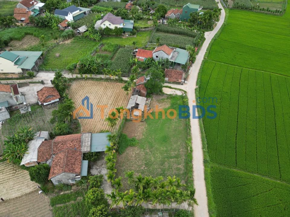 Đất Vườn 800m² Sổ Đỏ Tại Minh Long, Quảng Ngãi - Giá 1 Tỷ