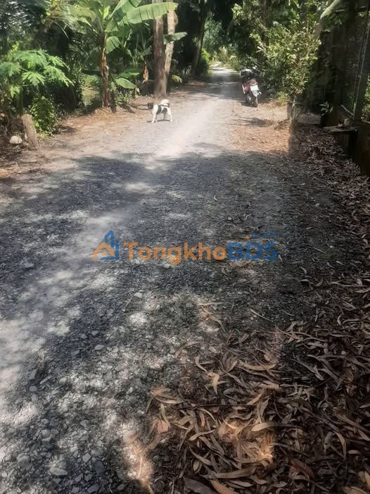 Đất vườn Phú Hữu 5.5k m² 1.925 tỷ - Sinh thái xanh