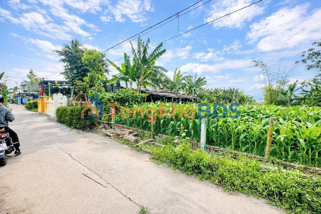 Đất Nền Phú Mỹ - Đại Hiệp 180m² Sổ Đỏ Sẵn - Giá 1 Tỷ