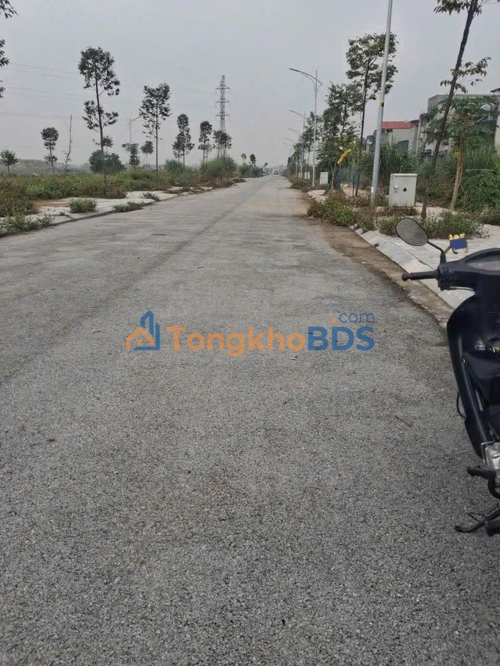 Bán Đất Rừng Thông, TP. Thanh Hóa 100m² - Sổ Đỏ Chính Chủ, Giá Tốt