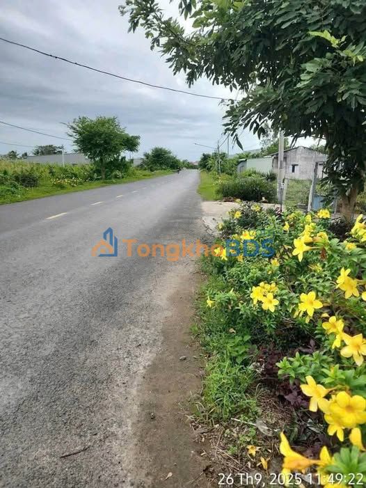 Đất Nền Mặt Tiền Huyện Lộ 56, Sóc Trăng - 504m² Giá 1.2 Tỷ