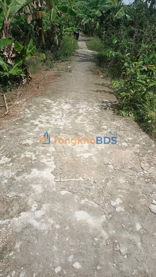 Đất vườn Hiệp Lợi 12.500m² giá 2,75 tỷ - Đầu tư dài hạn