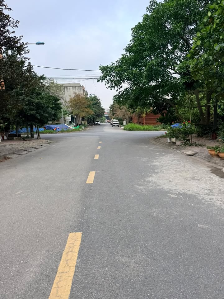 Bán Đất 85m² Thanh Trì, Hoàng Mai - Hướng Nam, Hạ Tầng Đồng Bộ