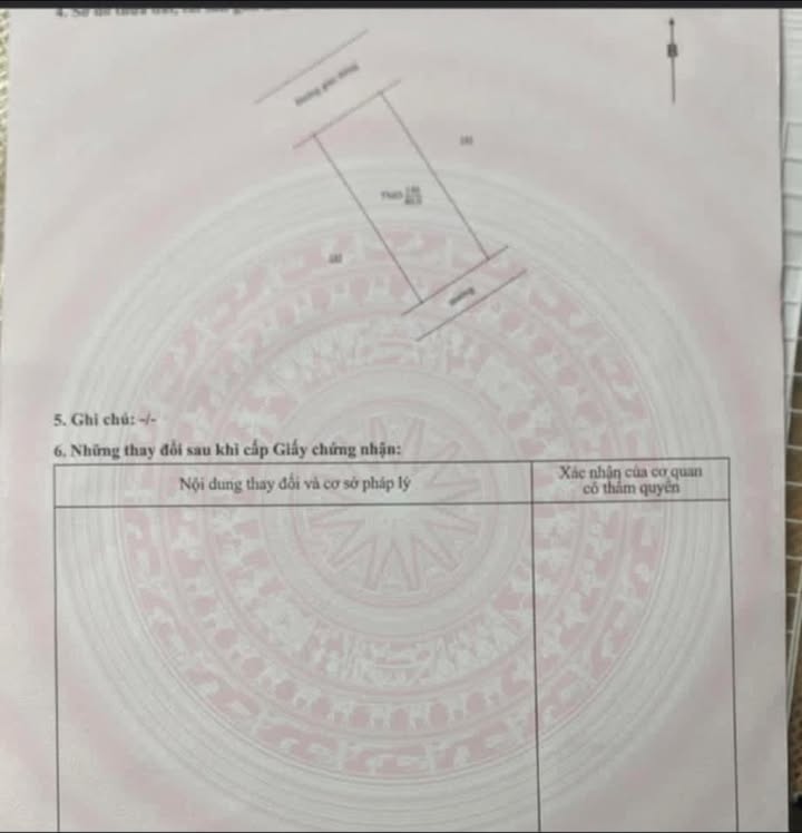 Bán Đất Nền 40m² Khu Dịch Vụ Liên Minh, Gia Viễn - Giá Tốt