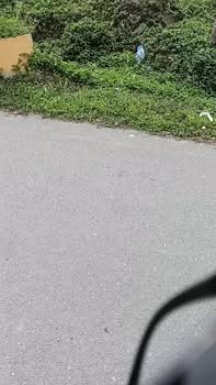 Đất nền Chi Phong - Yên Khánh 120m² giá 3 tỷ - Cơ hội đầu tư tuyệt vời!