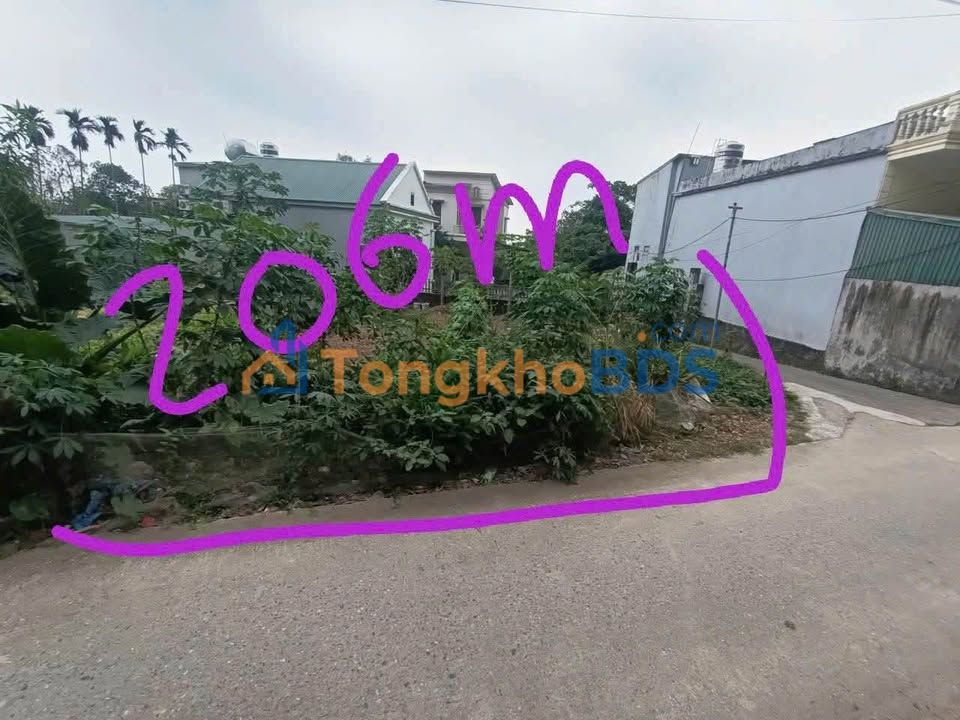 Bán Đất Lô Góc 206m² Thanh Liêm, Hà Nam - Giá Tốt 1.3 Tỷ