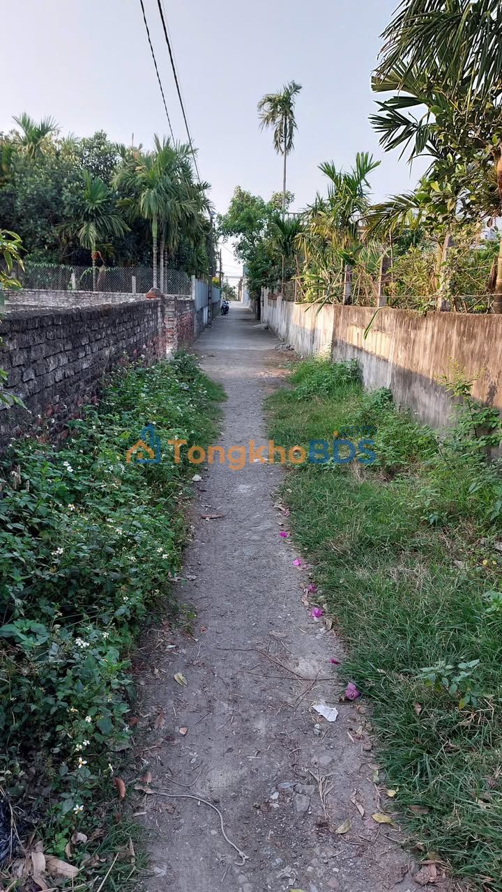 Đất Nền Ý Yên, Nam Định 100m² - Sổ Đỏ Rõ Ràng, Ô Tô Vào Tận Nơi