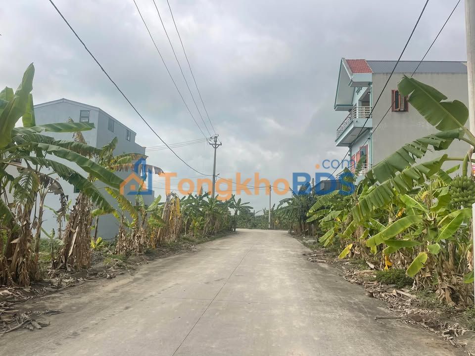 Đất Phân Lô Mặt Tiền 6m Đối Diện Chợ Dầu, Ninh Bình - 99m² Giá 2.x Tỷ