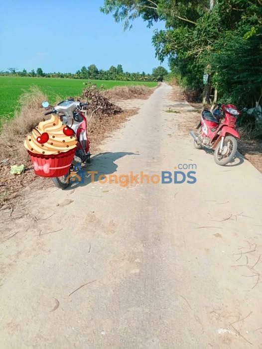 Đất Sóc Trăng 1300m² Mặt Tiền Ô Tô - Sổ Đỏ Sẵn Sàng