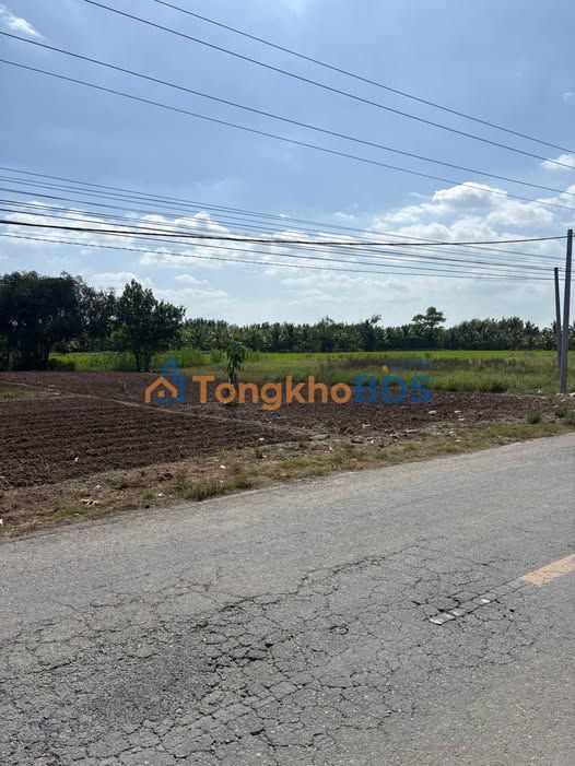 Bán Gấp 2 Nền Thổ Cư Full 900m² Cần Thơ - Sẵn Sàng Xây Kho Bãi