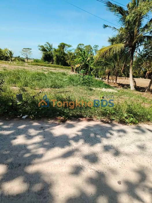 Đất thổ cư 125m² Hồng Ngự - 199 Triệu - Sổ Hồng Sẵn Sàng