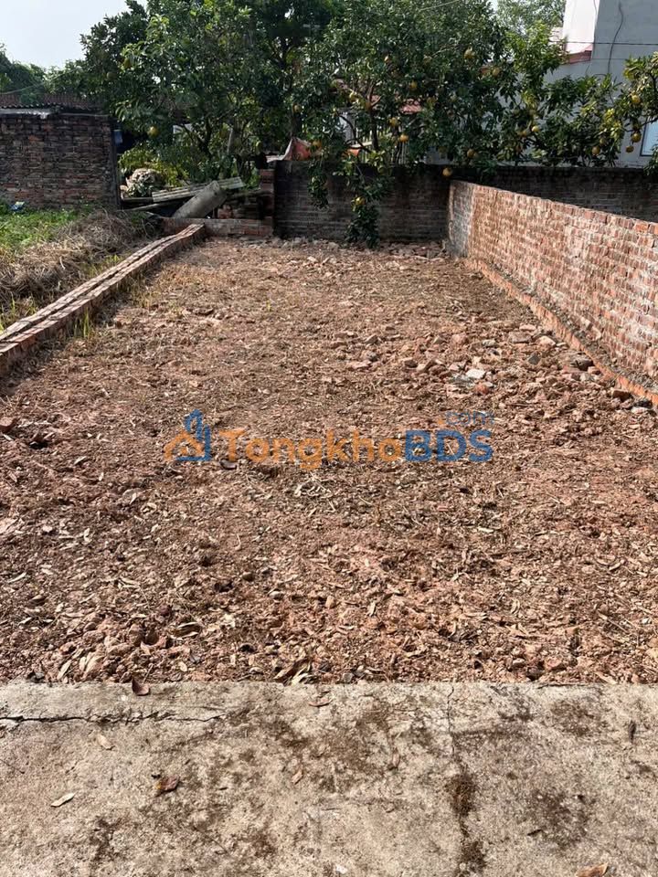 Bán Đất Nền Phú Mỹ, Quận 7 - 42m² Giá 1 Tỷ, Gần Cụm CN