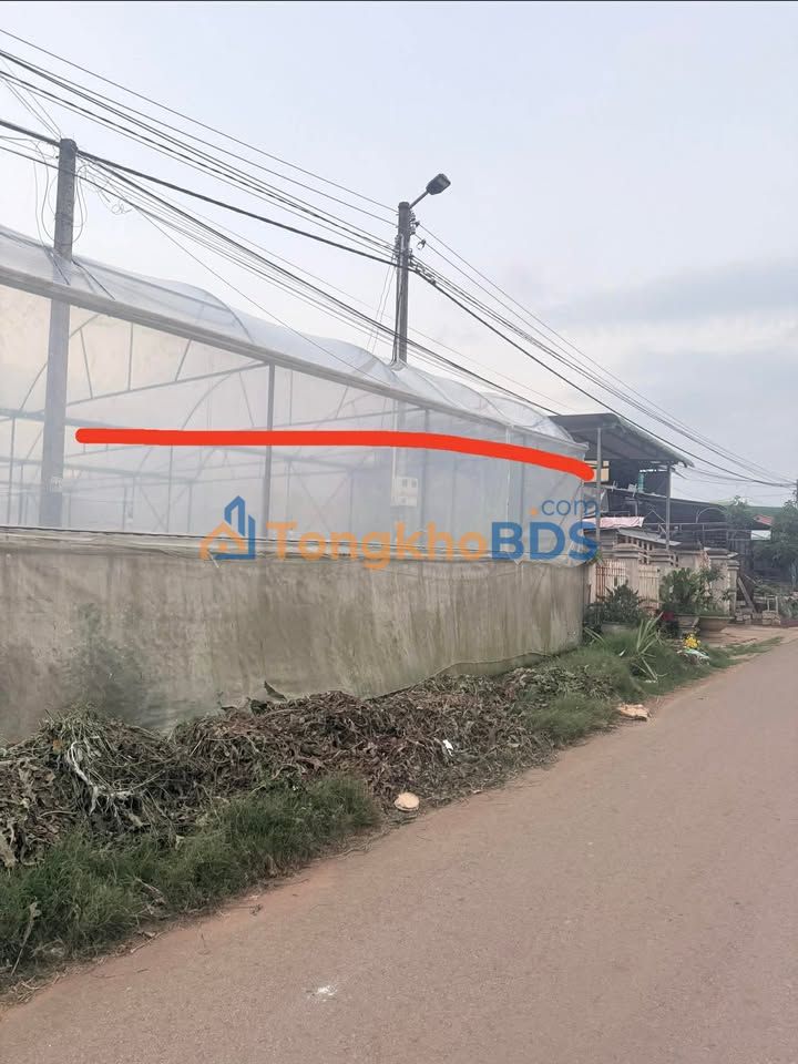 Đất Vườn 11m² Đường 725 Đà Lạt - Gần Du Lịch, Giá Đầu Tư 3.5 Tỷ