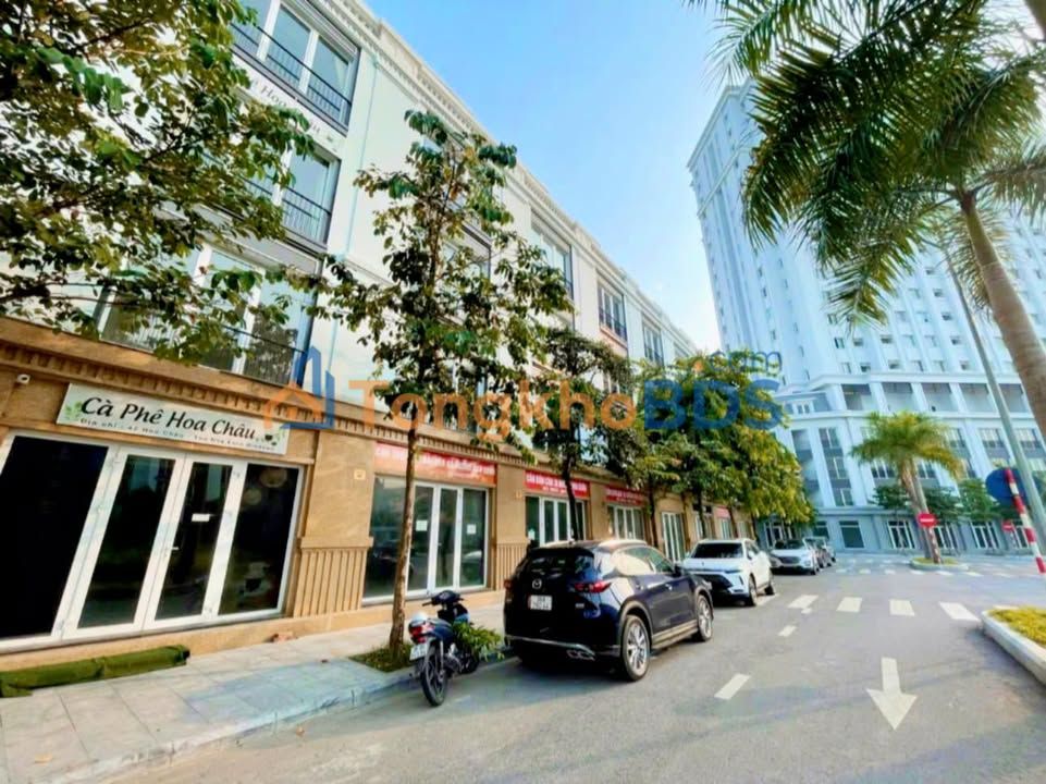 Nhà Phố Eurowindow Thanh Hóa - 85m² Kinh Doanh 2 Mặt Tiền, Thang Máy, Full Nội Thất - Giá 7.x Tỷ