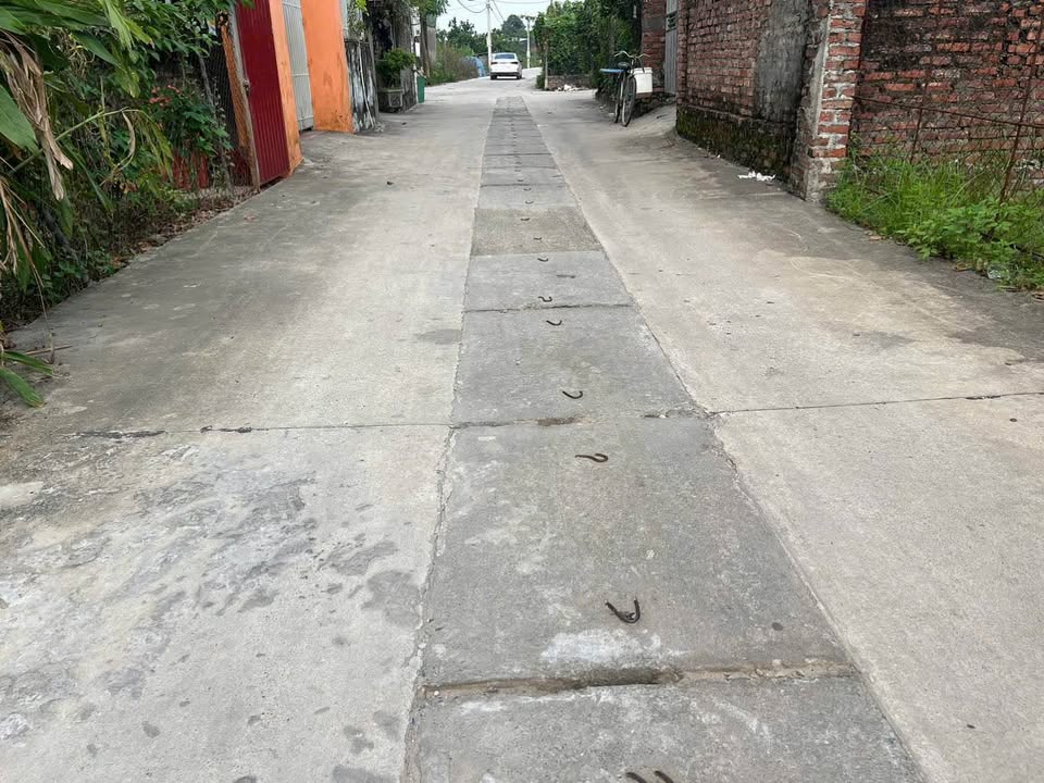 Bán Đất Lô Góc 62m² Trục Chính Quang Minh - Sổ Đỏ Sẵn Sàng