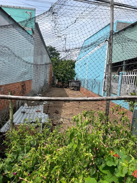 Bán Nền 156.9m² Đường Lê Văn Cử, Châu Thành, Tiền Giang - Giá 1.75 Tỷ