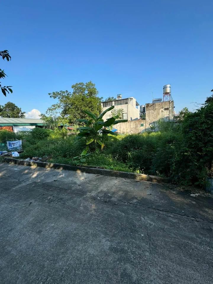 Bán Đất Kim Phú Tuyên Quang 200m² Sổ Đỏ - Giá Đầu Tư 1.x Tỷ