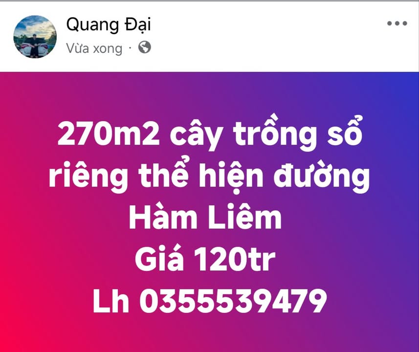 Đất trồng 270m² sổ riêng đường Hàm Liêm, Phan Thiết - Giá 32.4 tỷ