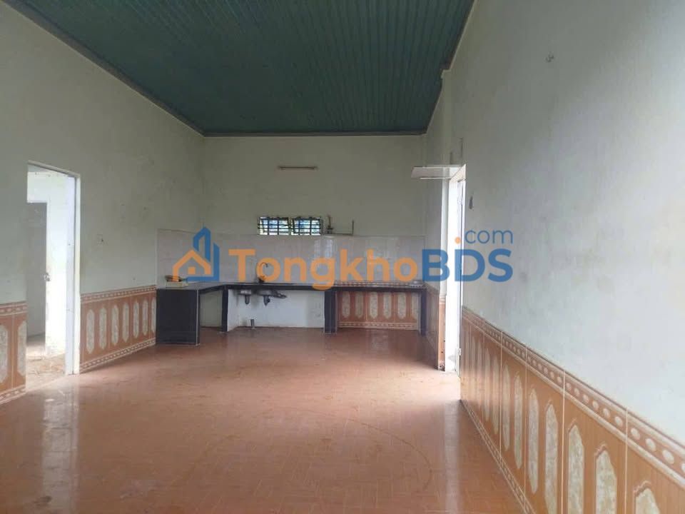 Nhà Đất Đắk Lắk: Bán Gấp Nhà Cấp 4 Mặt Tiền Đường 1050m² Giá 850 Triệu