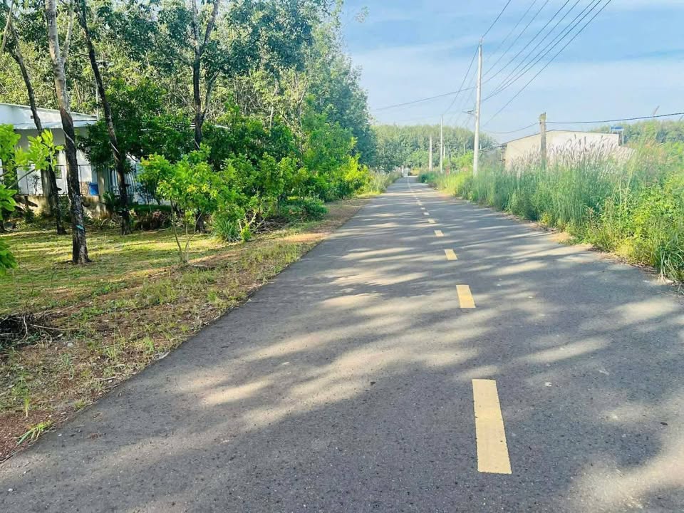 Đất Nền Nghỉ Dưỡng Tân Phước - 1800m² Sổ Hồng Thổ Cư - Giá F0 Chỉ 4xx Triệu