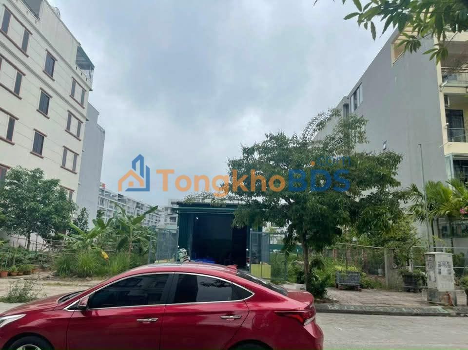 Bán Đất Vàng Hồng Hải, Hạ Long 100m² - Gần Trường Quốc Tế, Trung Tâm Thành Phố