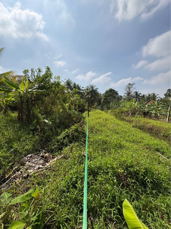 Bán Đất Mặt Tiền ĐH 35, Châu Thành, Tiền Giang - 432m² Kinh Doanh/Kho Bãi