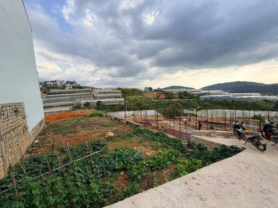 Đất Biệt Lập Đường Cao Thắng Đà Lạt 279.5m² - Sổ Riêng, Ô Tô Vào Tận Nơi