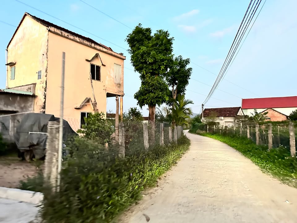 Đất Nền 2000m² Xã Tây Giang, Bình Định - Mặt Tiền Đường Bê Tông, Sẵn Sổ Đỏ