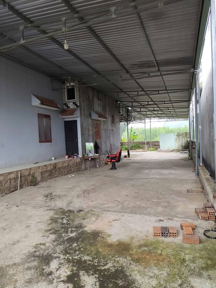 Nhà Cấp 4 Mặt Tiền QL 19C, Vân Canh, Bình Định - 540m² Giá 1.9 Tỷ