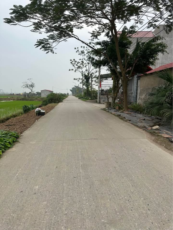 Đất nền Lạc Xá, Tiên Du 93m² - Sổ đỏ sẵn, tiềm năng tăng giá cao