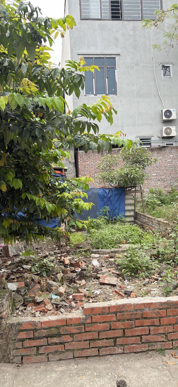 Bán đất 52m² Xuân Lâm, Thuận Thành, Bắc Ninh - Sổ đỏ, giá tốt