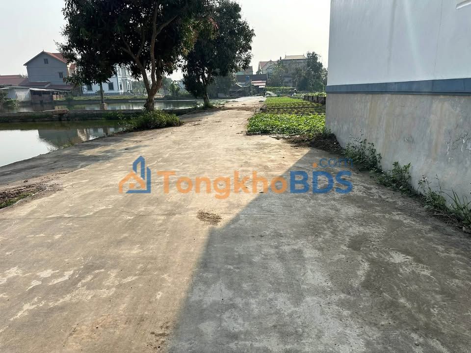 Đất Nền Gia Bình, Bắc Ninh - 91m² Mặt Tiền Trục Chính, Giá Tốt