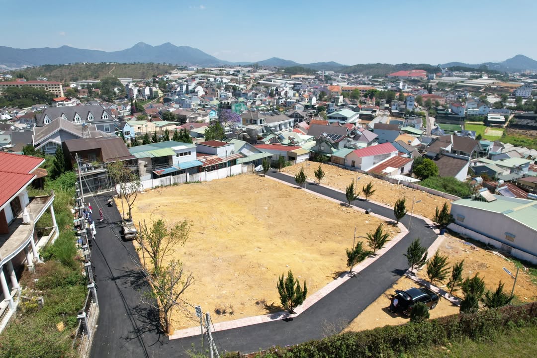 Đất Đồi Bạch Đằng Đà Lạt 200m² - View Triệu Đô, Sổ Đỏ