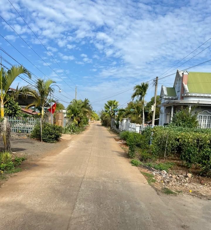 Đất Nền Tân Hội Đức Trọng 300m² - Sổ Đỏ Sẵn Sàng Đầu Tư