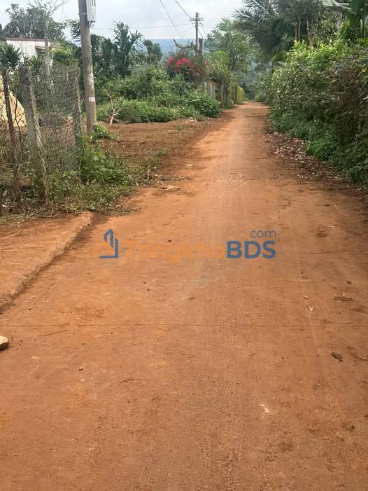 Đất Nền Đông Hòa, Phú Yên - 278m² Giá Chỉ 288 Triệu, Sẵn Sổ