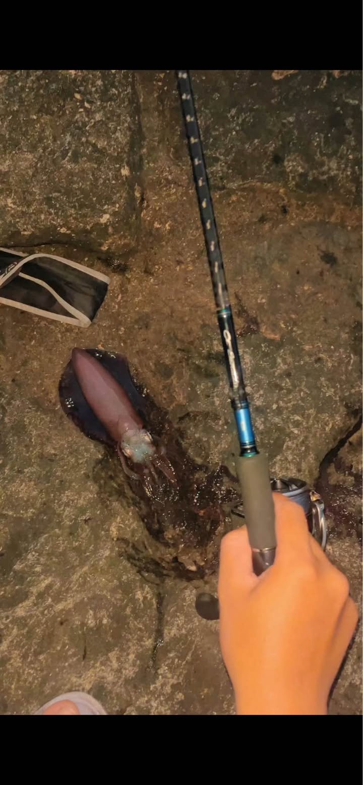 Nhà 2 Tầng MT Liên Chiểu 116m² - 4PN, Sổ Sẵn, Giá 5.1 Tỷ