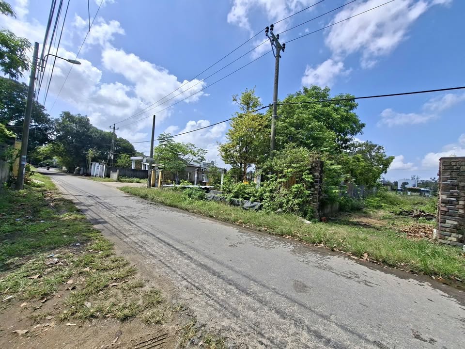 Đất Mặt Tiền Khái Tây 2, Hòa Liên - 170m² Giá 5 Tỷ, Sát Làng Đại Học