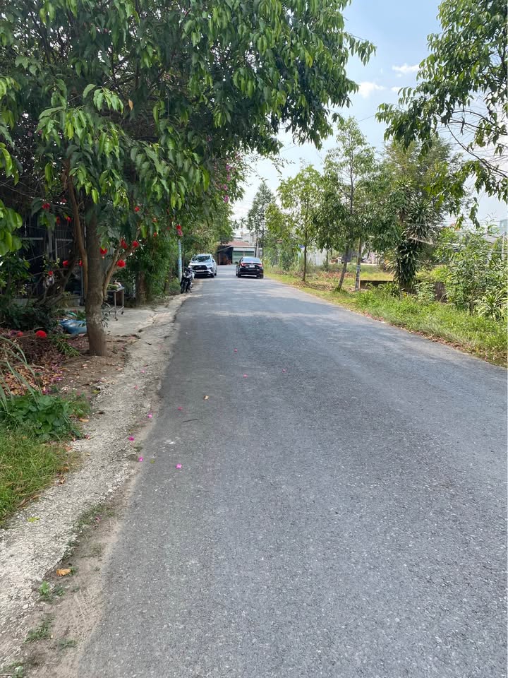 Đất Nền Đức Hòa 250m² Sổ Hồng Riêng - Hướng Nam Vượng Khí