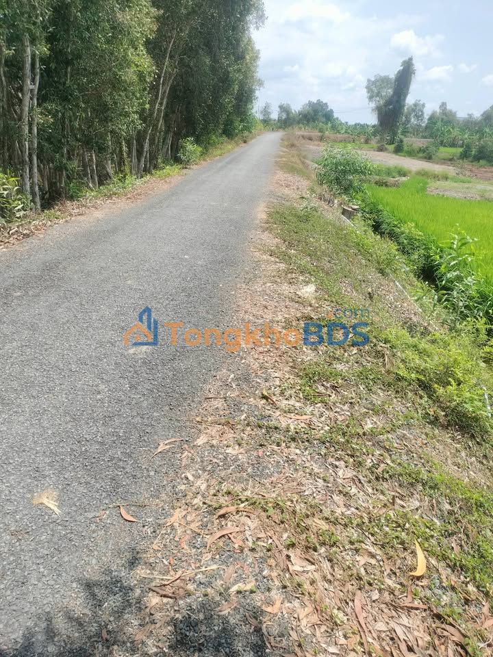 Bán Đất Lúa Long An 5800m² Giá 400 Triệu - Sẵn Sổ Hồng