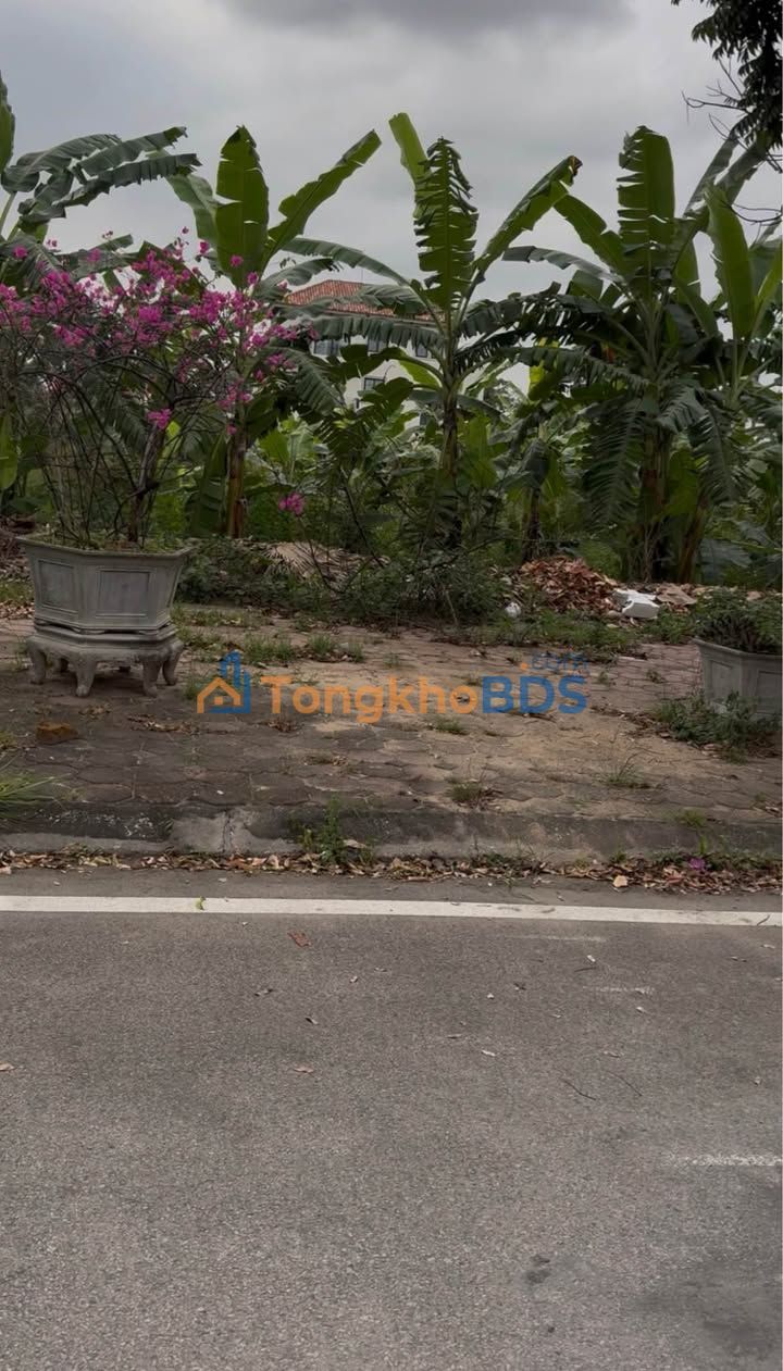 Đất nền 110m² Hồng Bàng, Hải Phòng - Trung tâm dự án, giá 2.x tỷ